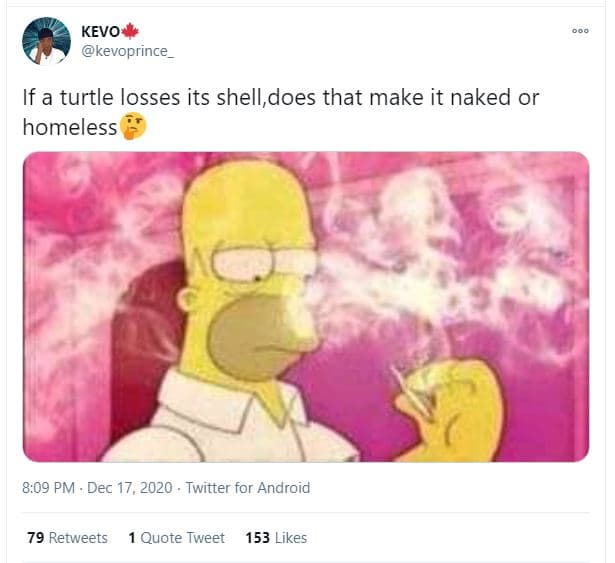 Kevo kevoprince if a turtle losses its shell,does that make it naked or homeless