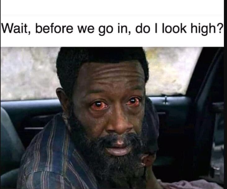 Wait, before we go in, do look high?