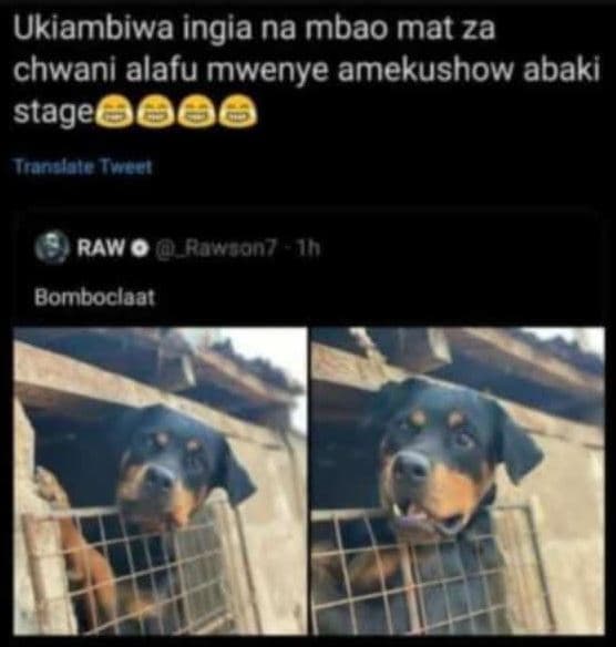 Ukiambiwa ingia na mbao mat za chwani alafu mwenye amekushow abaki stage0006 ran