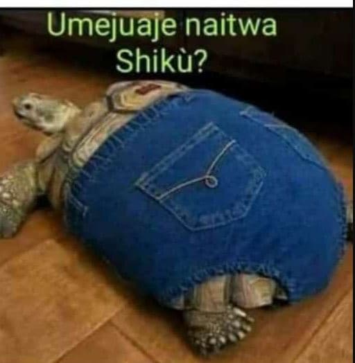 Umejuaje naitwa shiku?