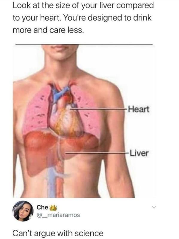 Look at the size of your liver compared to your heart. you're designed to drink