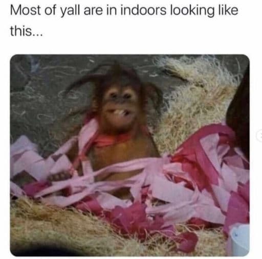 Most of yall are in indoors looking like this.