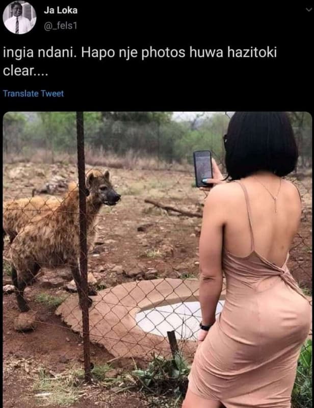 Ja loka _fels1 ingia ndani hapo nje photos huwa hazitoki clear. translate tweet