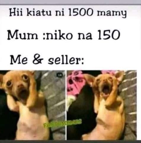 Hii kiatu ni 15o0 mamy mum niko na 150 me seller