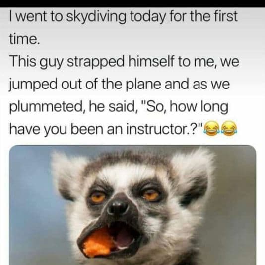 Went to skydiving today for the first time this guy strapped himself to me we ju