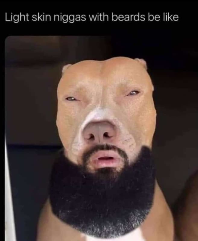 Light skin niggas with beards be like