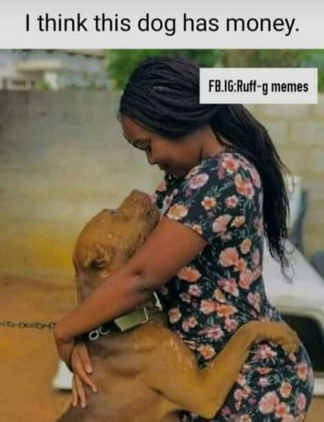 Think this dog has money. fb.iruffg memes