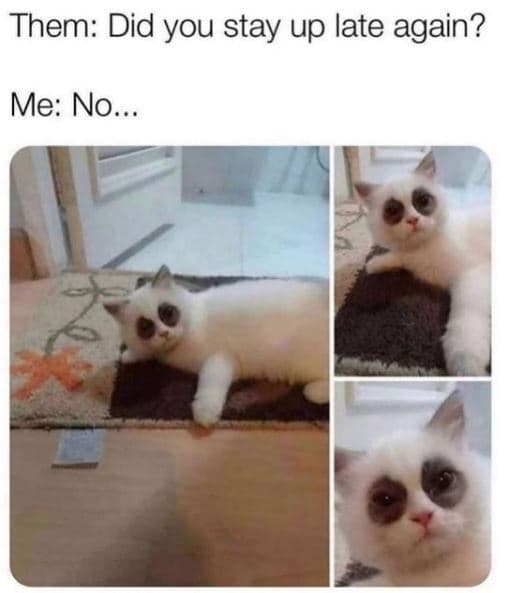 Them did you stay up late again? me no.