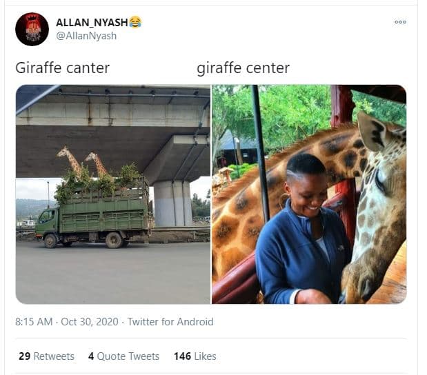 Allan_nyash allannyash giraffe canter giraffe center 8,15 am oct 30, twitter for