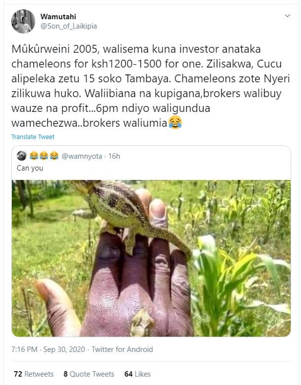 Wamutahi son_of_laikipia môkurweini , walisema kuna investor anataka chameleons