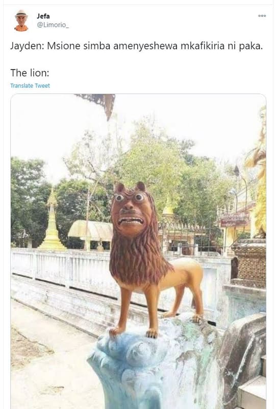 Jefa limorio_ jayden msione simba amenyeshewa mkafikiria ni paka. the lion trans
