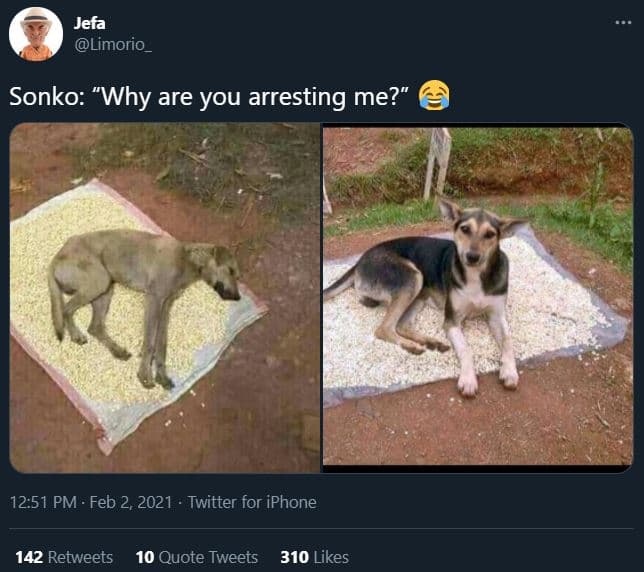 Jefa limorio _ sonko why are you arresting me? 12.51 pm feb 2, twitter for iphon