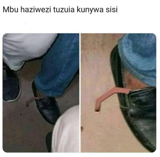 Mbu haziwezi tuzuia kunywa sisi
