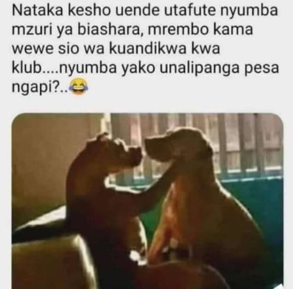 Nataka kesho uende utafute nyumba mzuri ya biashara, mrembo kama wewe sio wa kua