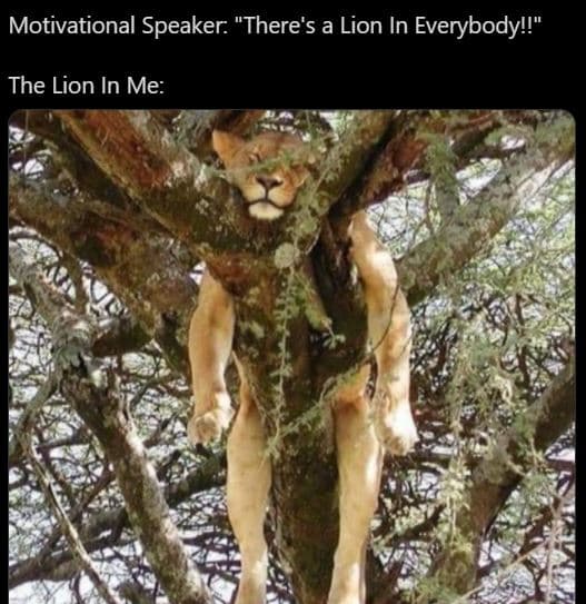 Motivational speaker 'there's a lion in everybodyl! the lion in me