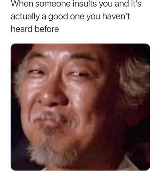 When someone insults you and it's actually a good one you haven't heard before