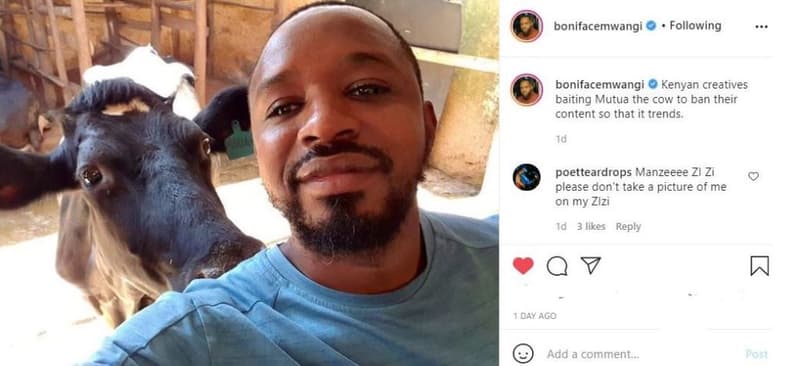 Bonifacemwangi following bonifacemwangi kenyan creatives baiting mutua the cow t