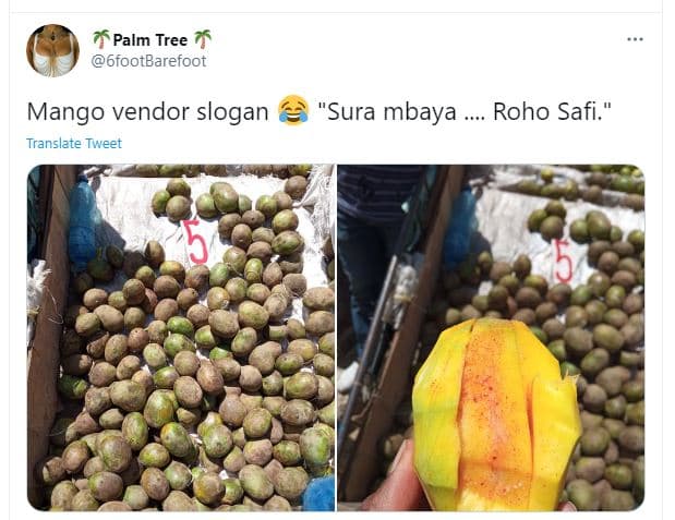 Palm tree 6footbarefoot mango vendor slogan translate tweet sura mbaya roho safi
