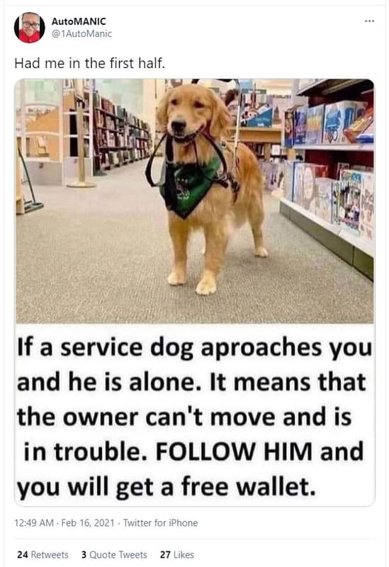 Automanic 1automanic had me in the first half. if a service dog aproaches you an