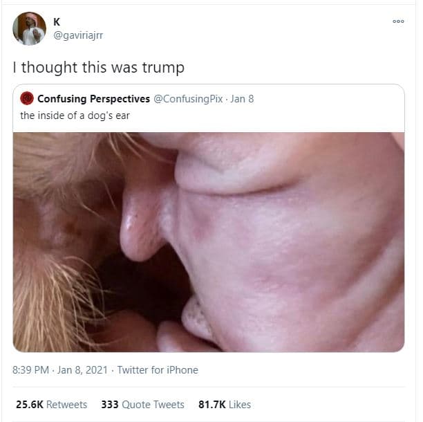 Gaviriajrr thought this was trump confusing perspectives confusingpix jan 8 the