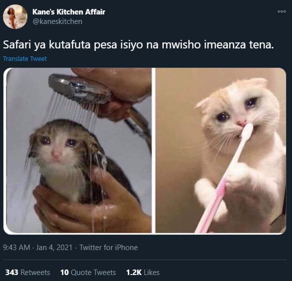 Kanes kitchen affair kaneskitchen safari ya kutafuta pesa isiyo na mwisho imeanz