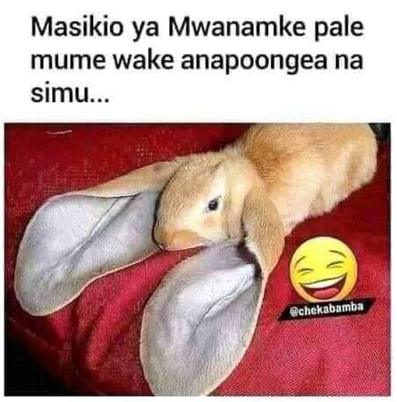Masikio ya mwanamke pale mume wake anapoongea na simu .. chekabamba
