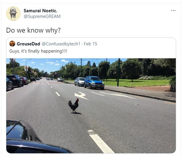 Samurai noetic. supremegream do we know why? grousedad confusedbytech1 feb 15 gu