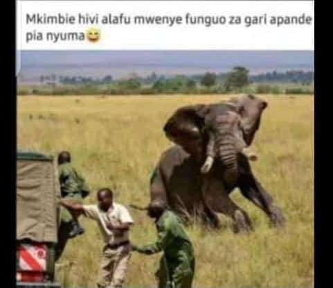 Mkimbie hivi alafu mwenye funguo za gari apande pia nyuma