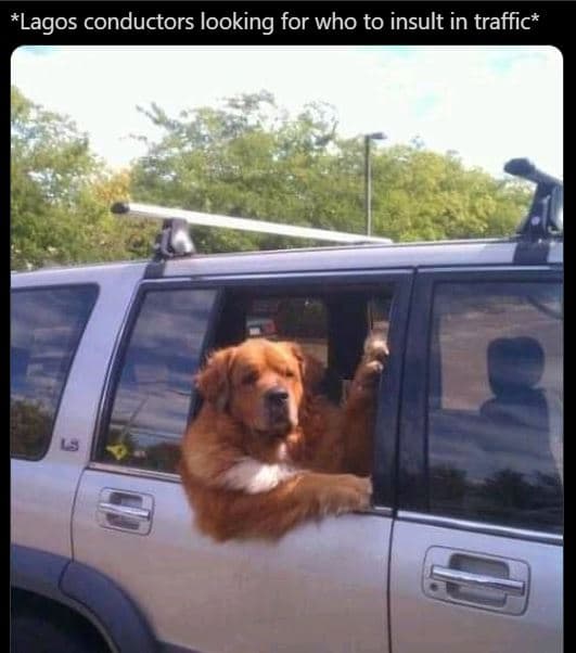 Lagos conductors looking for who to insult in traffic