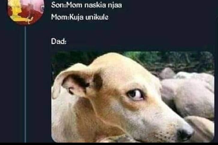 Sonmom nuskia niaa mom kuje unikule dad