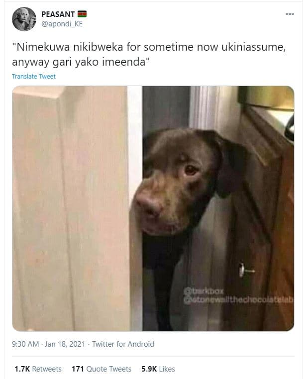 Peasant apondi_ke nimekuwa nikibweka for sometime now ukiniassume, anyway gari y