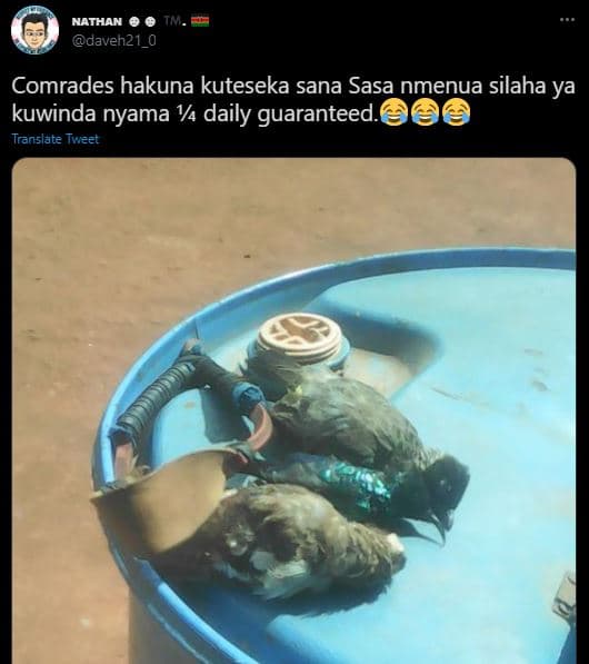 Nathan 0tn daveh21_0 comrades hakuna kuteseka sana sasa nmenua silaha ya kuwinda