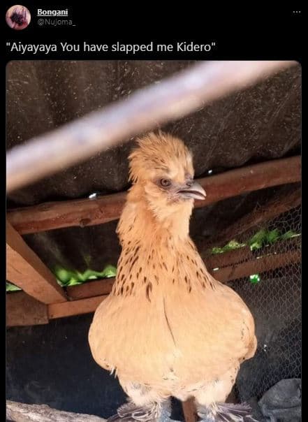 Bongani nujoma aiyayaya you have slapped me kidero