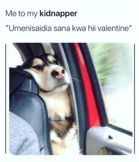 Me to my kidnapper umenisaidia sana kwa hii valentine'