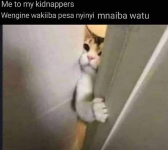Me to my kidnappers wengine wakiiba pesa nyinyi mnaiba watu