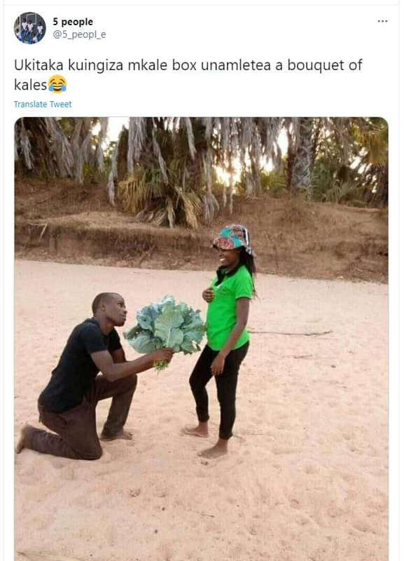 5 people 5_peopl ukitaka kuingiza mkale box unamletea a bouquet of kales transla