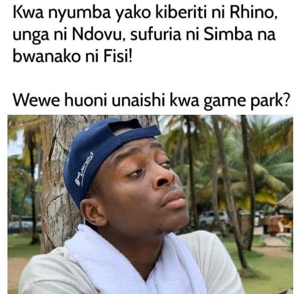 Kwa nyumba yako kiberiti ni rhino, unga ni ndovu sufuria ni simba na bwanako ni