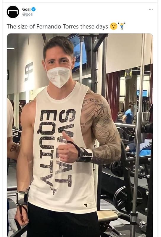 Goal goal the size of fernando torres these days 5ha 4