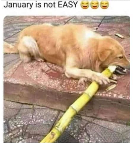 January is not easy