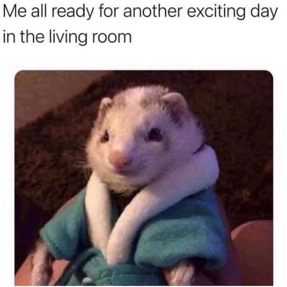 Me all ready for another exciting day in the living room