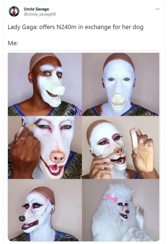 Uncle savage uncle_savageoo lady gaga offers n2aom in exchange for her dog me