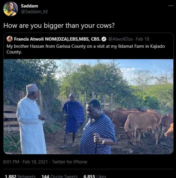 Saddam saddam_ke how are you bigger than your cows? francis atwoli nomdza ebs,mb