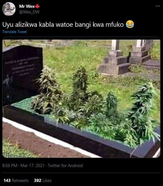 Mr wex wex_dw uyu alizikwa kabla watoe bangi kwa mfuko translate tweet 8.56 pm m