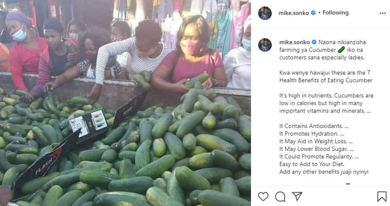 Mike sonko following mike sonko naona nikianzisha farming ya cucumber iko na cus