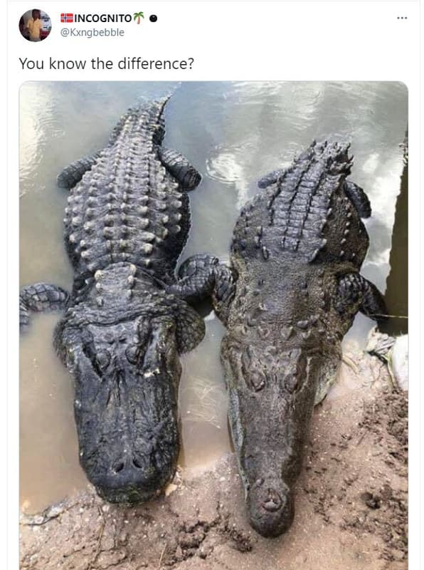 Incognitot kxngbebble you know the difference?