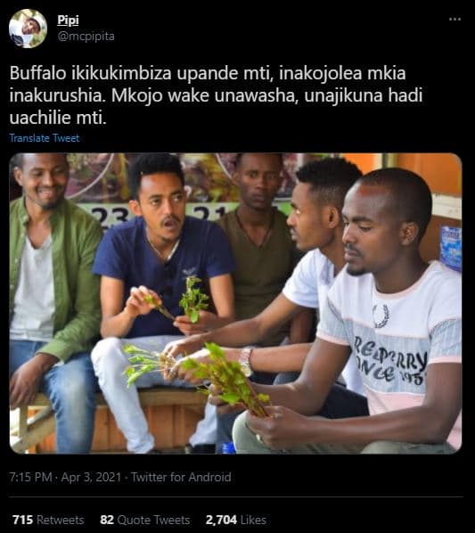 Pipi mcpipita buffalo ikikukimbiza upande mti, inakojolea mkia inakurushia mkojo