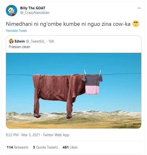 Billy the goat crazynairobian nimedhani ni ng'ombe kumbe ni nguo zina cowka tran
