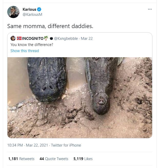 Karlous karlousm same momma, different daddies fincognitot kxngbebble mar 22 you