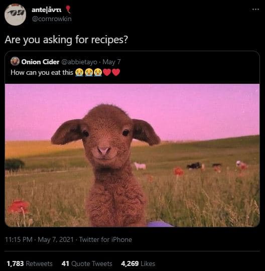 Antelävn cornrowkin are you asking for recipes? onion cider abbietayo may how ca