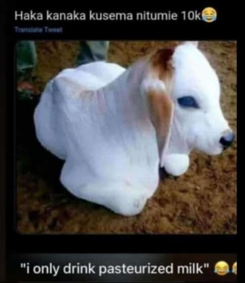 Haka kanaka kusema nitumie 10k only drink pasteurized milk